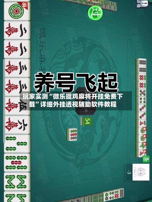 分享实测攻略“微乐双扣怎么开挂”确实真的有挂-第3张图片