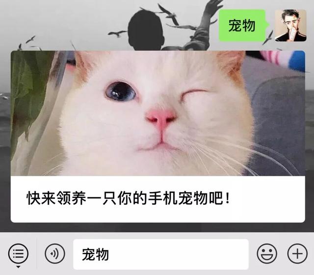 我来教教大家“上品十三水有挂吗”附开挂脚本详细步-第3张图片