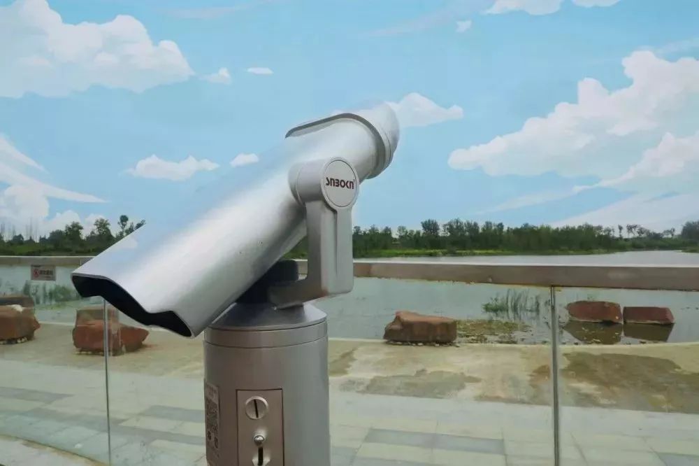 分享科普“微乐宁夏开挂器通用版”(确实能开挂)-第2张图片