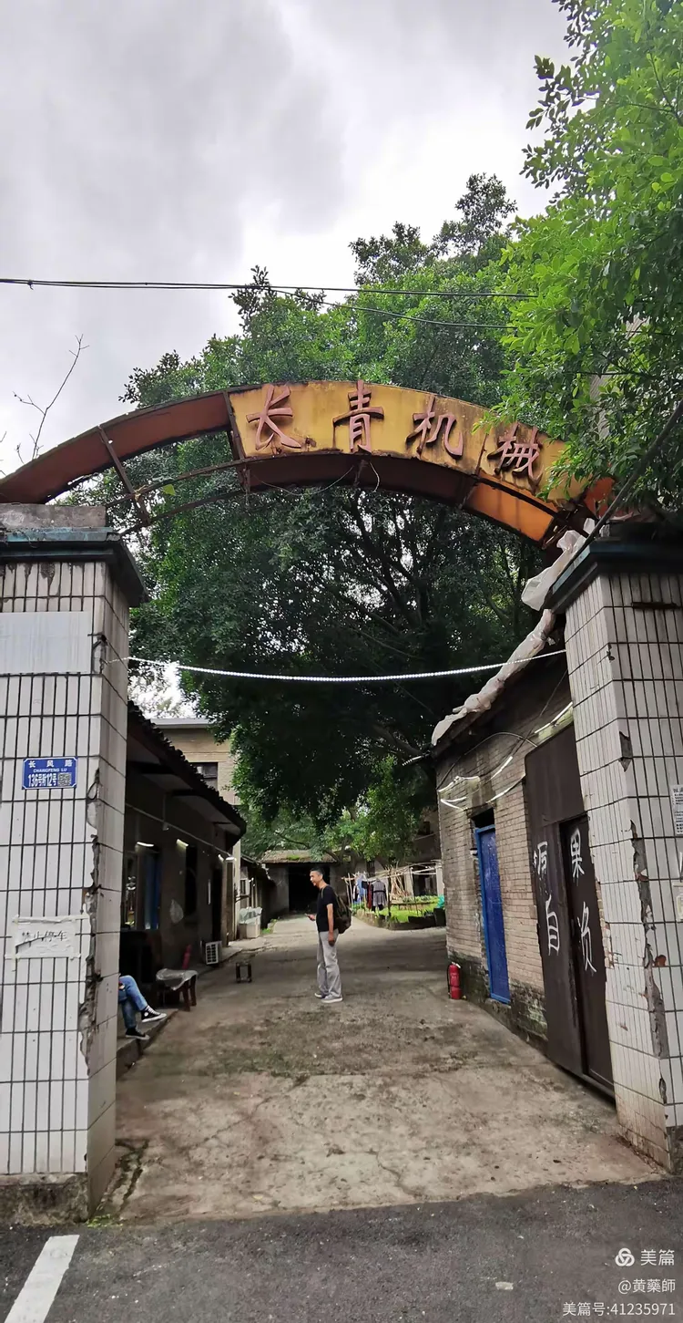 科普实测“点点长牌有没有挂”原来真可以开挂