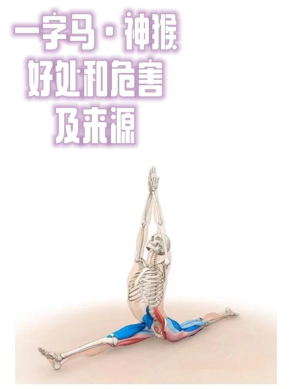 揭秘科普“超凡大厅辅助”分享装挂步骤-第3张图片