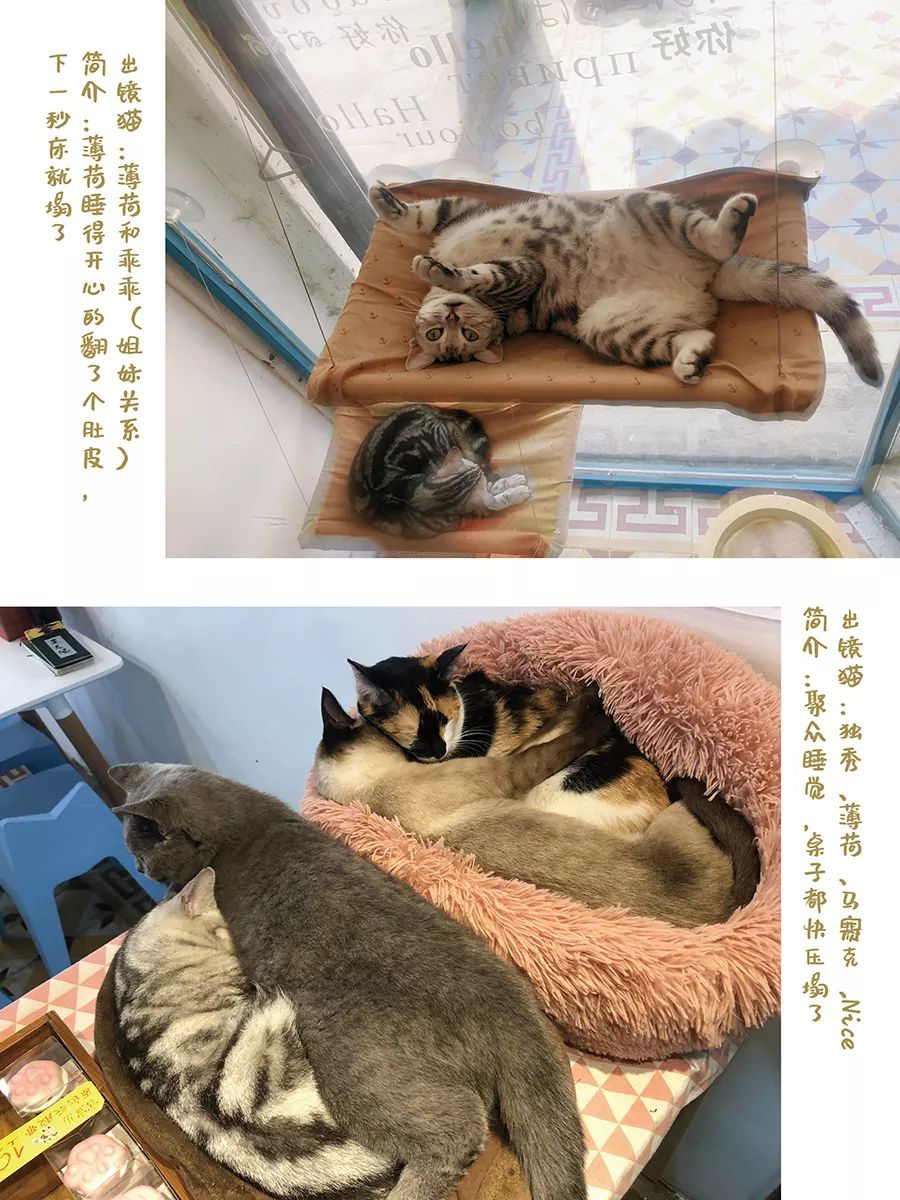 分享干货“德扑概率胜率计算软件”其实真的有挂
