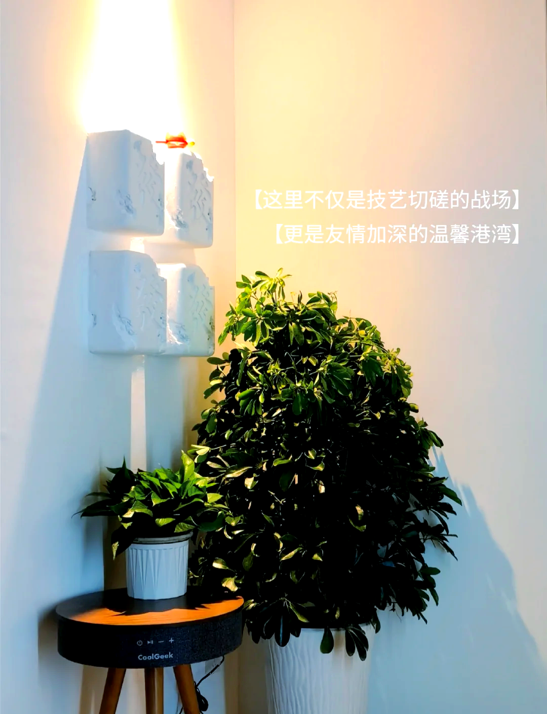 指定教程“微乐贵州麻将万能开挂器”其实真的确实有挂