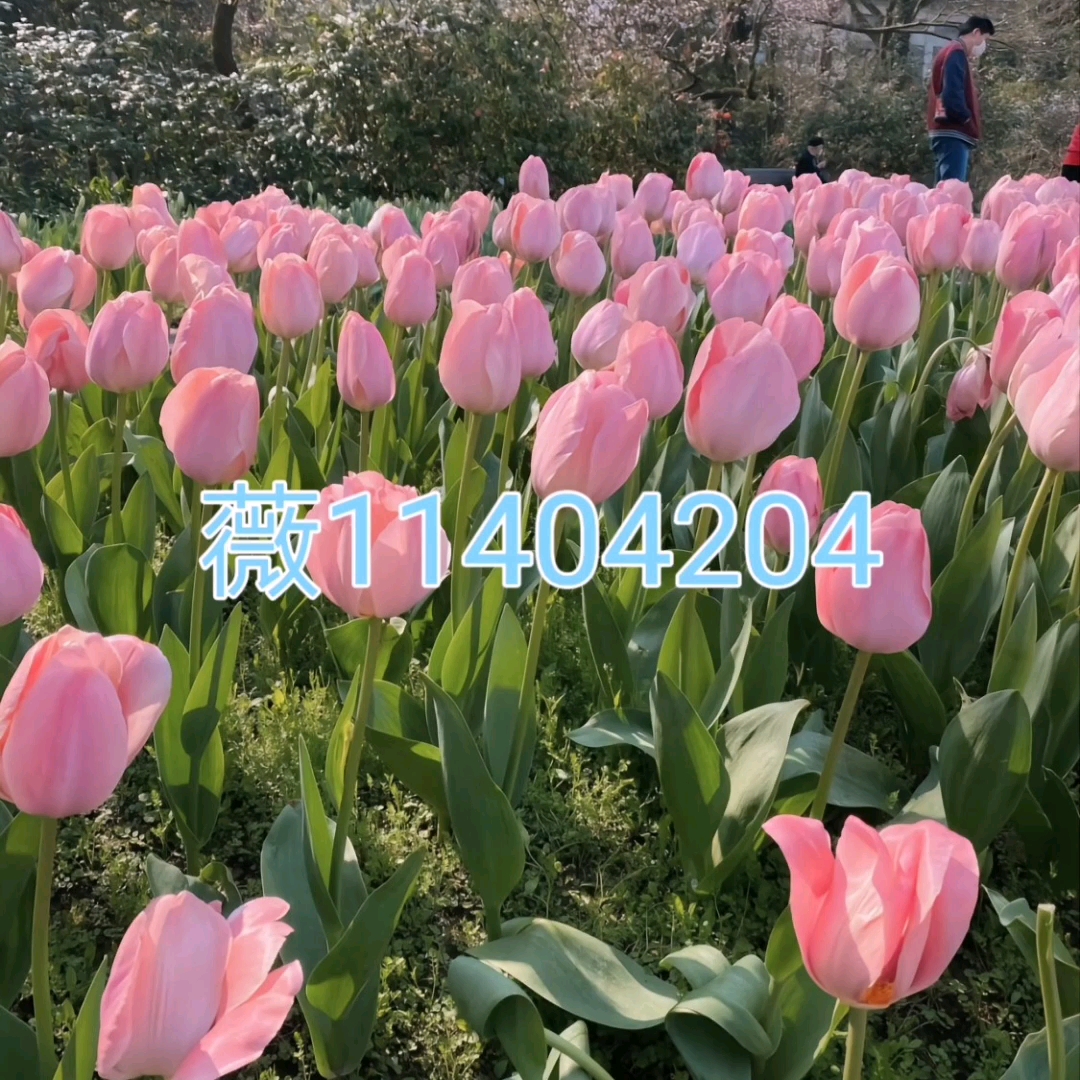 玩家必备“机麻作弊怎么检查出来”(必胜开挂神-第2张图片