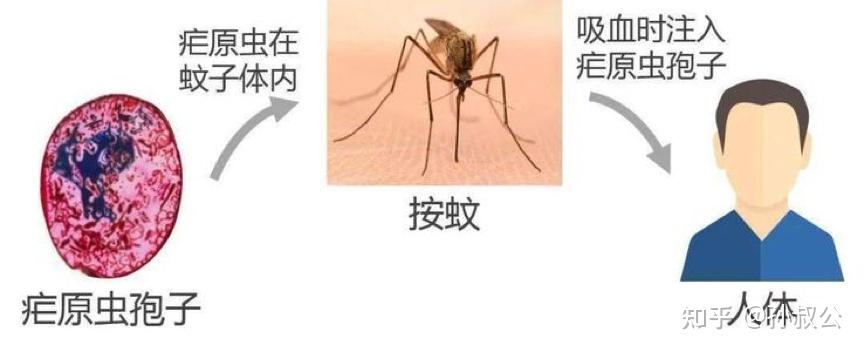 必看科普“wpk软件辅助挂”确实果然有挂-第3张图片