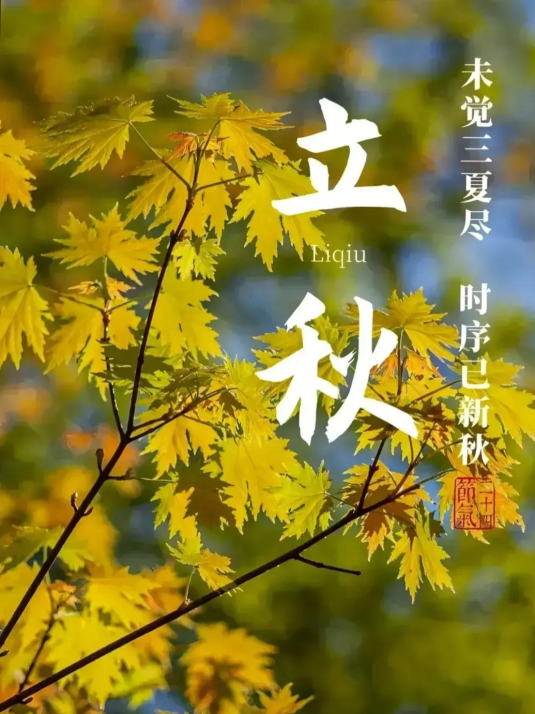 科普一下“闲来陕西三代有挂吗”附开挂脚本详细步骤-第3张图片