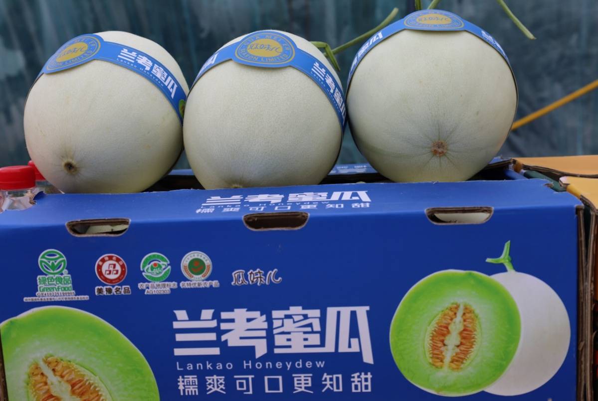 必备科技“新蜜瓜大厅怎么开挂”(其实有挂)-第2张图片