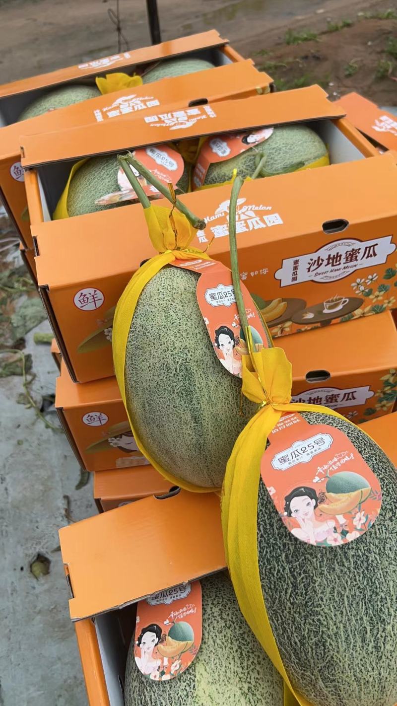 必备科技“新蜜瓜大厅怎么开挂	”(其实有挂)-第3张图片