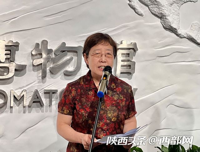 科普一下“闲来陕西三代有挂吗	”附开挂脚本详细步骤-第1张图片