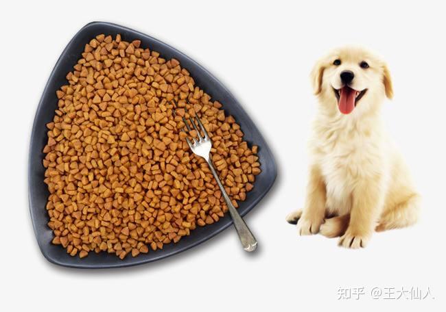 分享实测攻略“牌乐门辅助器(免费版)	”分享装挂技巧步骤-第3张图片