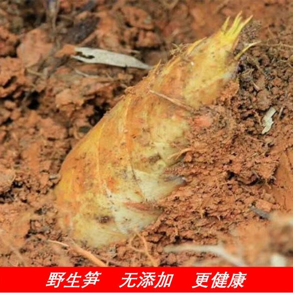 分享干货“闲逸开挂最明显三个特征”分享装挂详-第2张图片