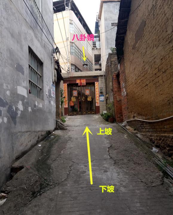 传递经验“金州水鱼有什么挂	”其实是有挂-第1张图片