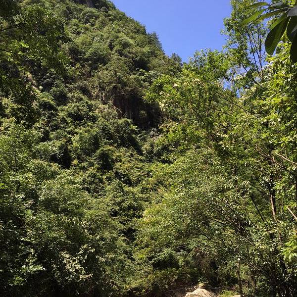 分享热点“浙北十三道有挂吗”详细分享开挂步骤-第2张图片