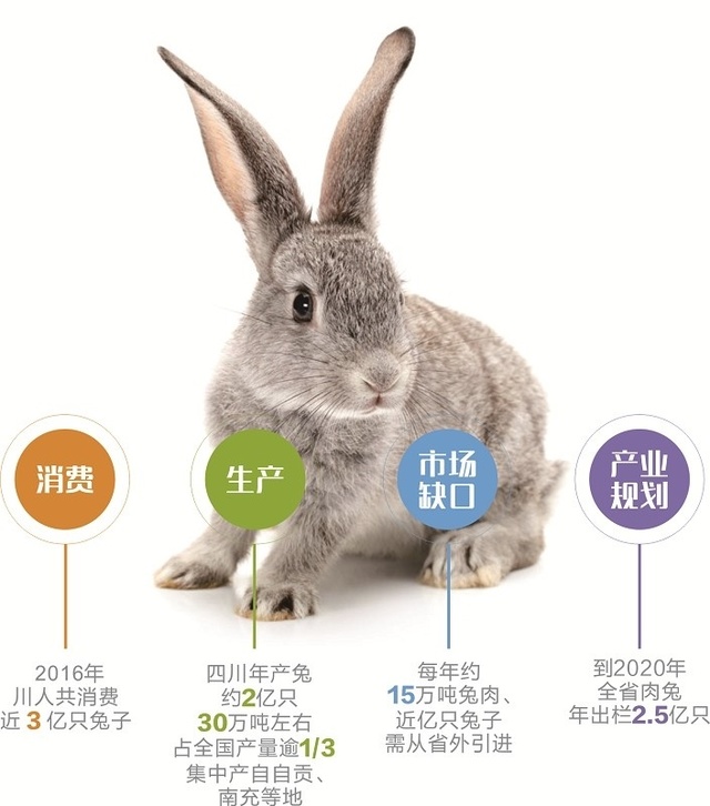 「31省份新增本土127例」〃31省新增本土20例-第2张图片