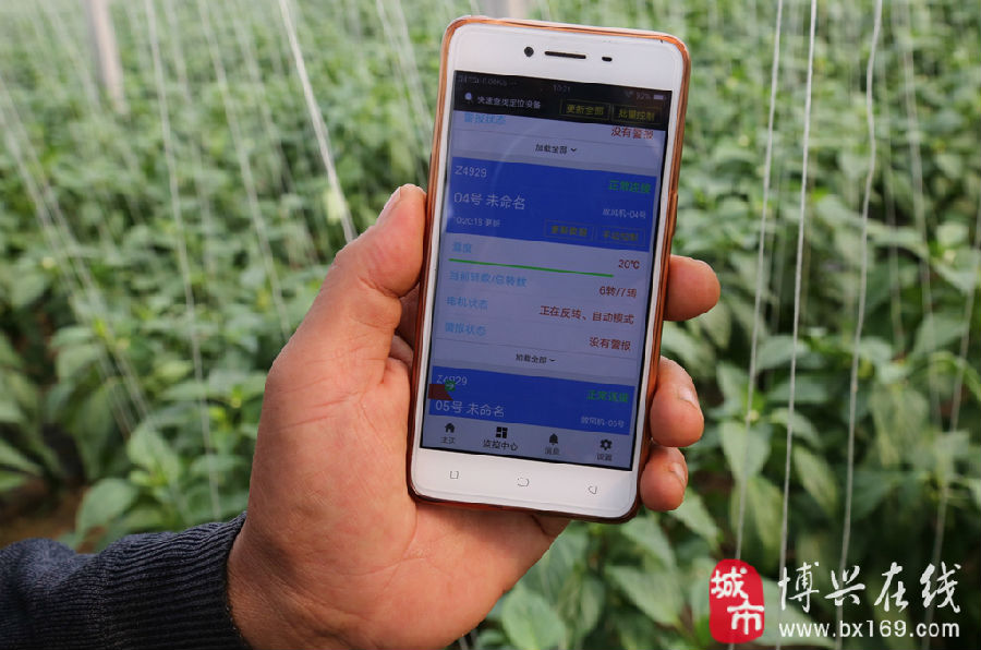 分享热点“手机微乐干瞪眼怎么来好牌	”详细开挂玩法-第2张图片